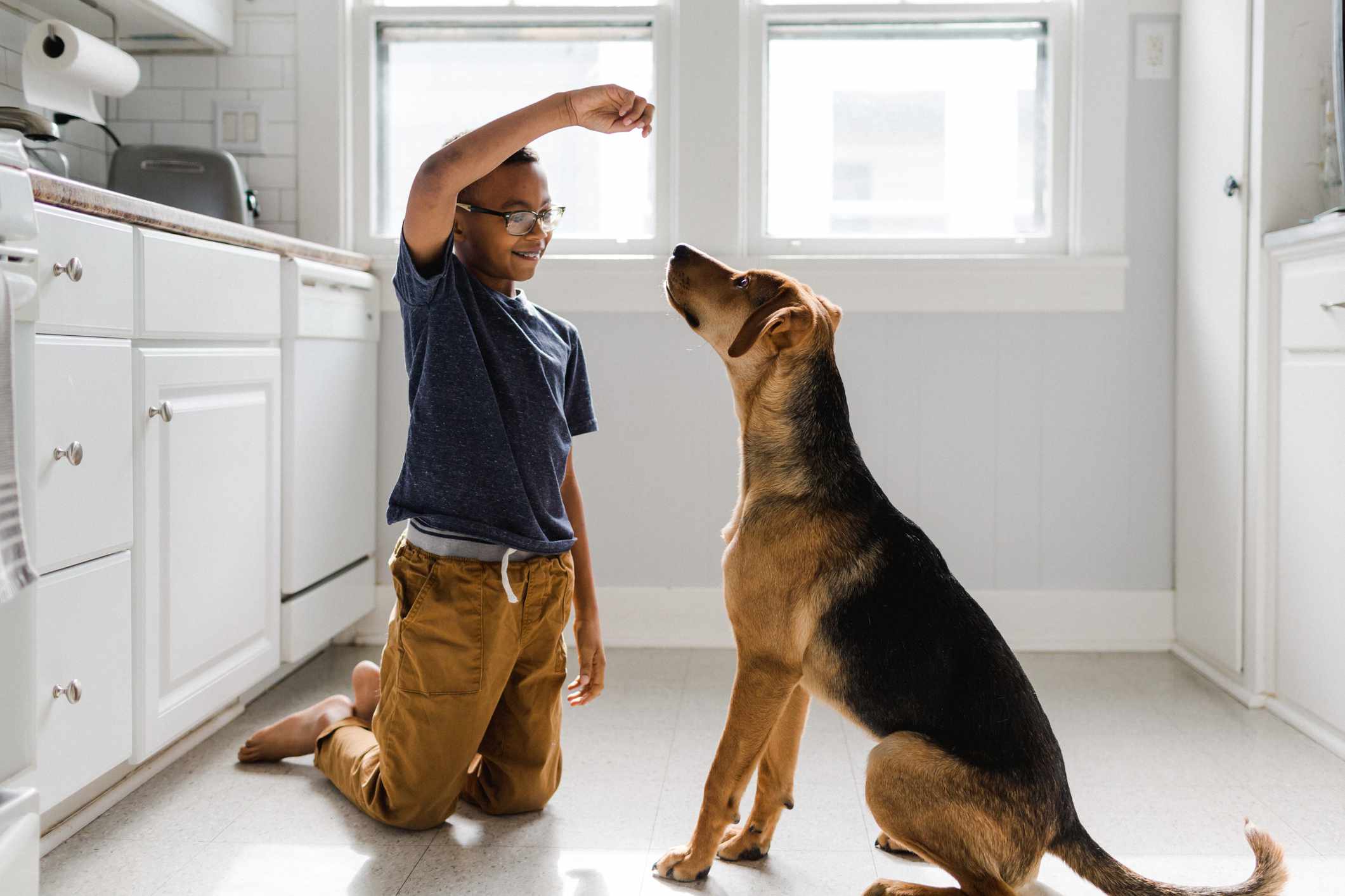 Menino com seu cachorro treinando com uma guloseima em uma cozinha bem iluminada