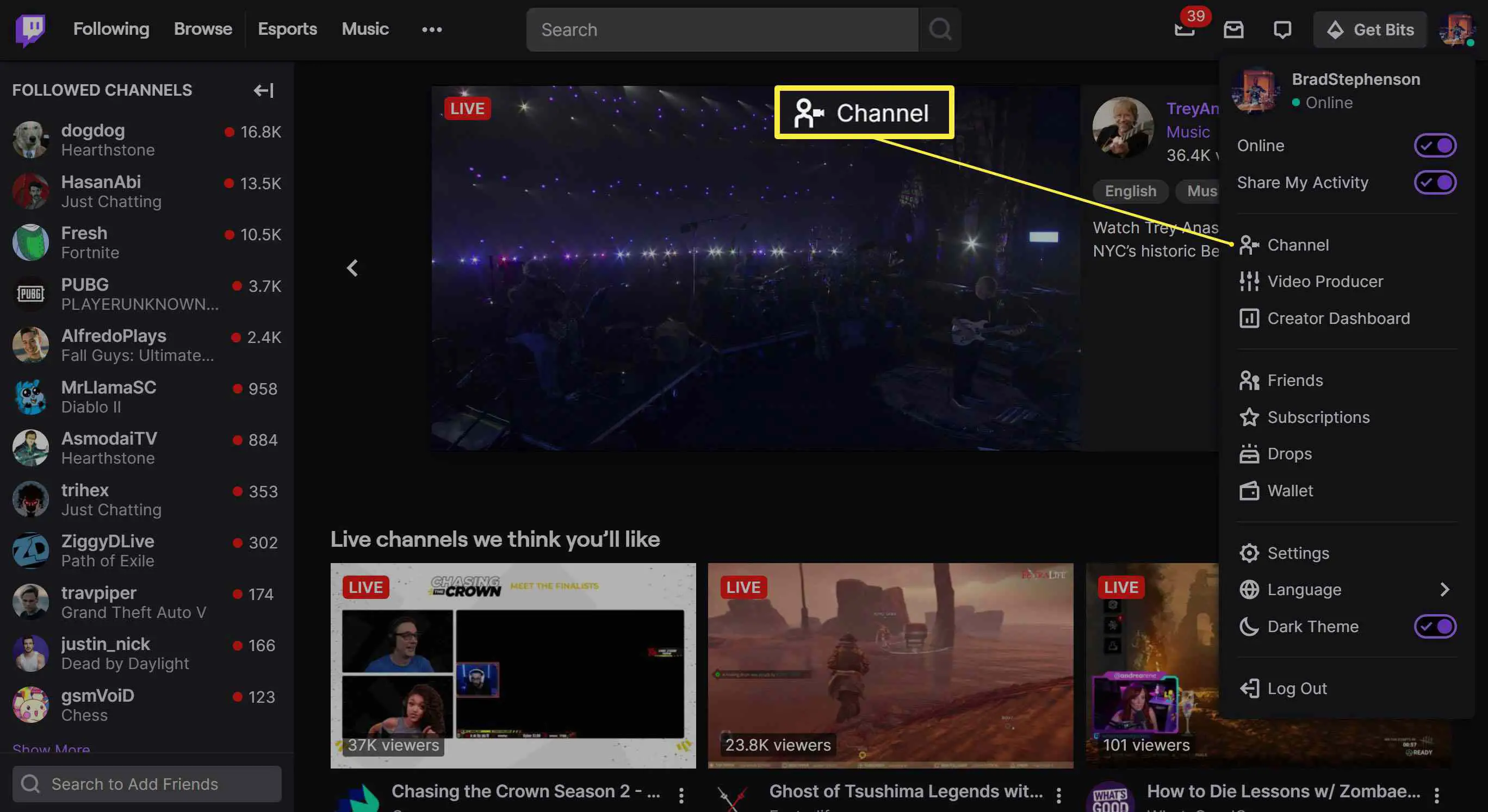 A configuração do canal em destaque no site Twitch.