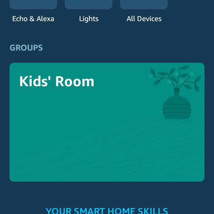 Captura de tela mostrando as habilidades de sua casa inteligente no aplicativo Alexa