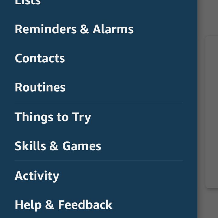 Captura de tela do menu mostrando as configurações no aplicativo Alexa