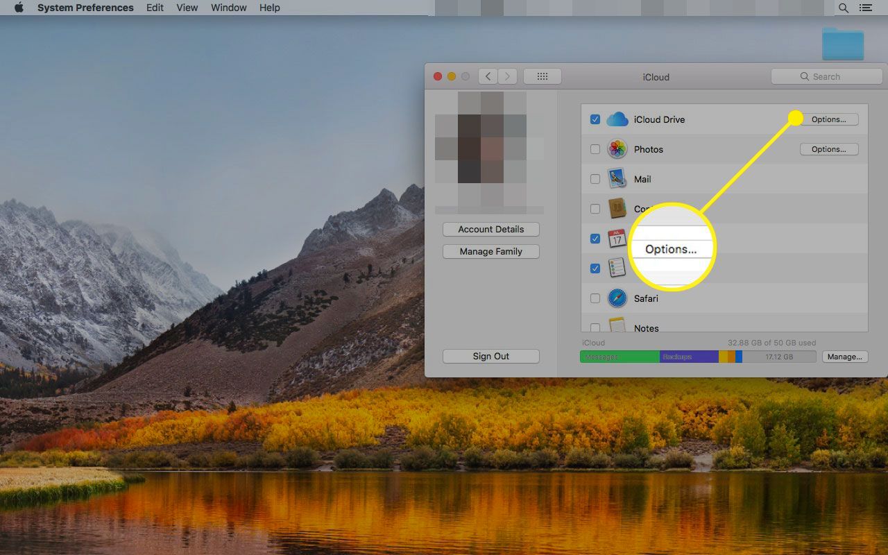 Botão de opções da unidade iCloud destacado em um Mac