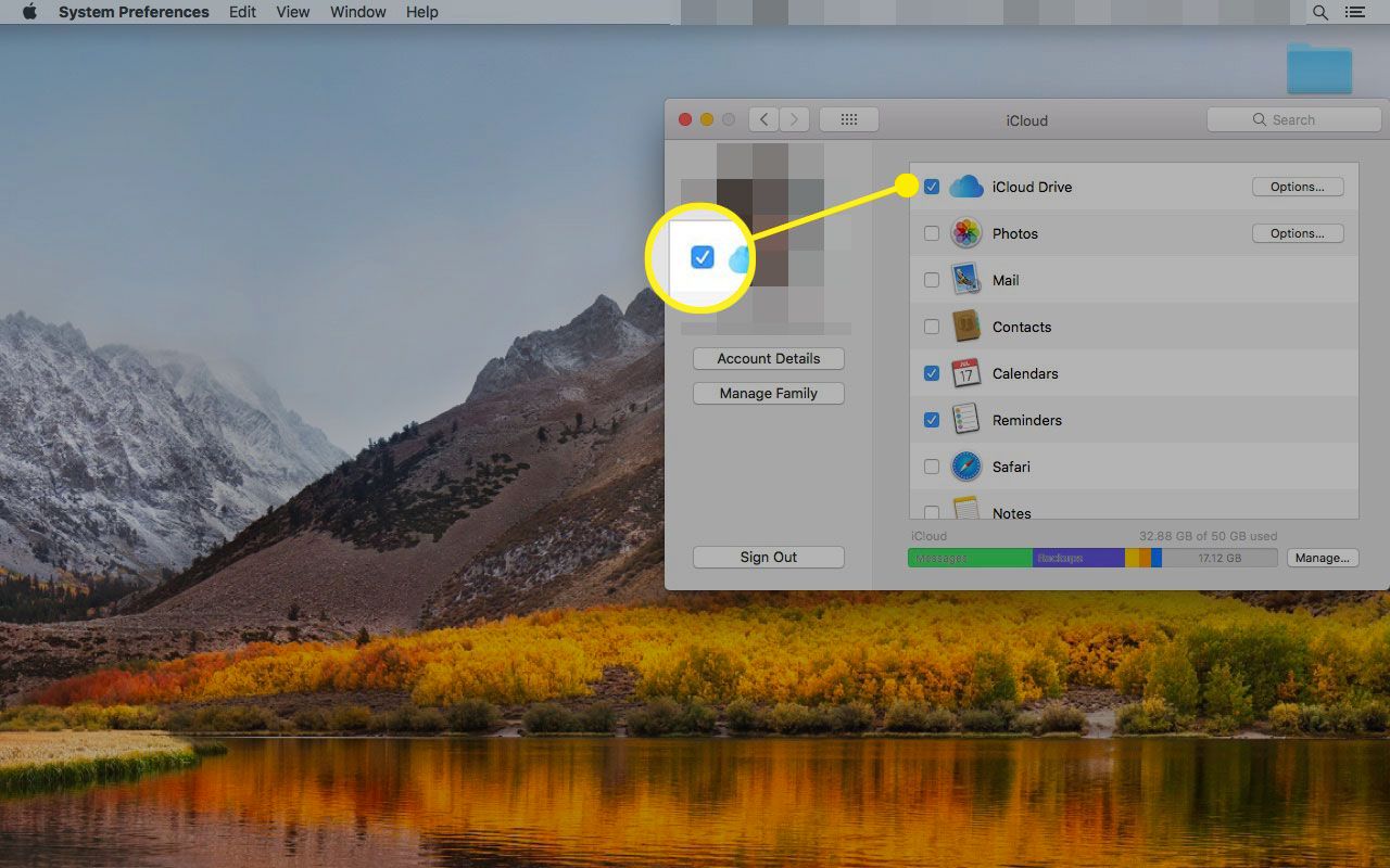 Configurações do iCloud em um Mac com a caixa ao lado do iCloud Drive destacada
