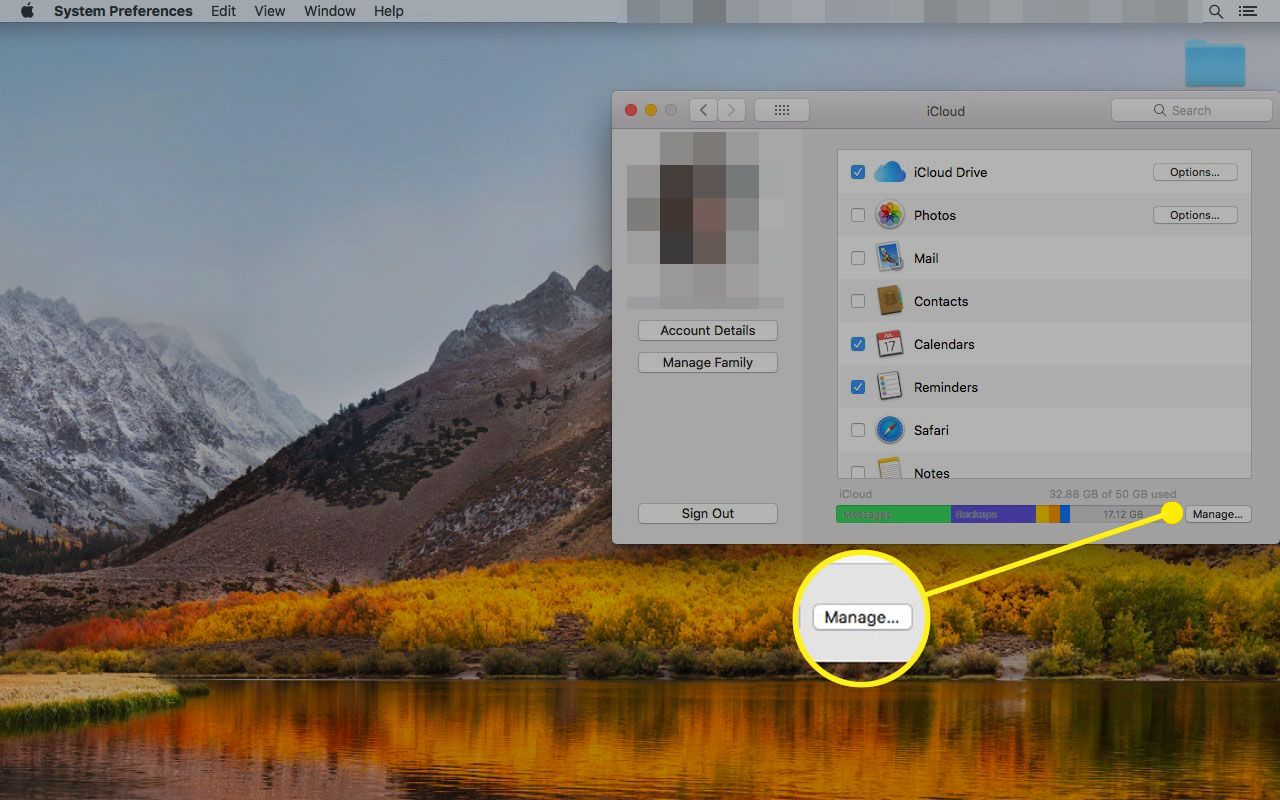Configurações do iCloud em um Mac com o botão Gerenciar destacado