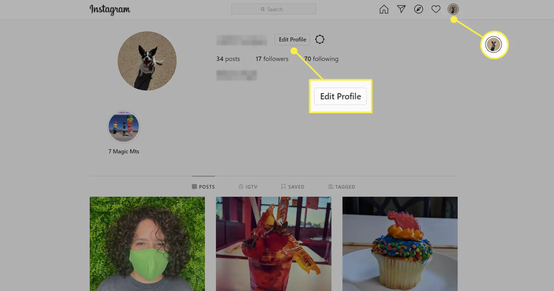 Você pode encontrar o botão Editar Perfil na página de perfil do Instagram.