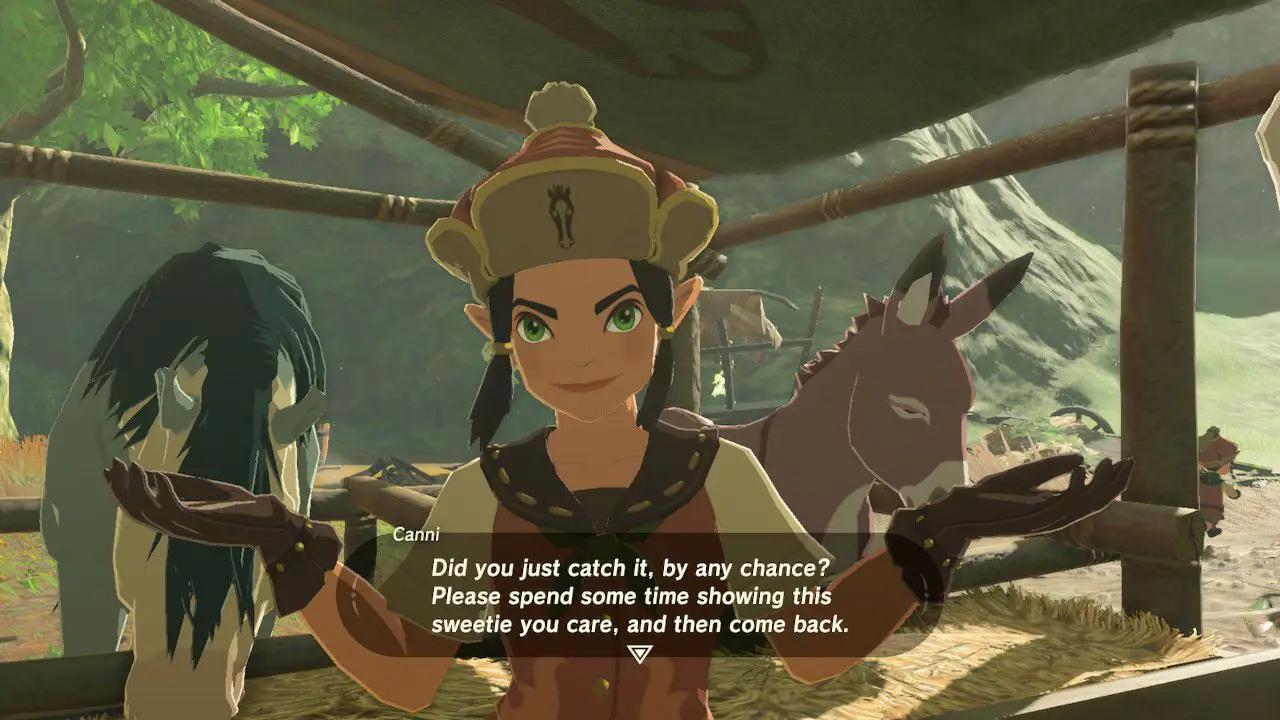 A personalização do cavalo foi negada em Zelda: Breath of the Wild.