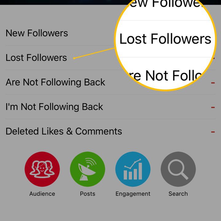 Captura de tela do aplicativo mostrando a guia Seguidores perdidos