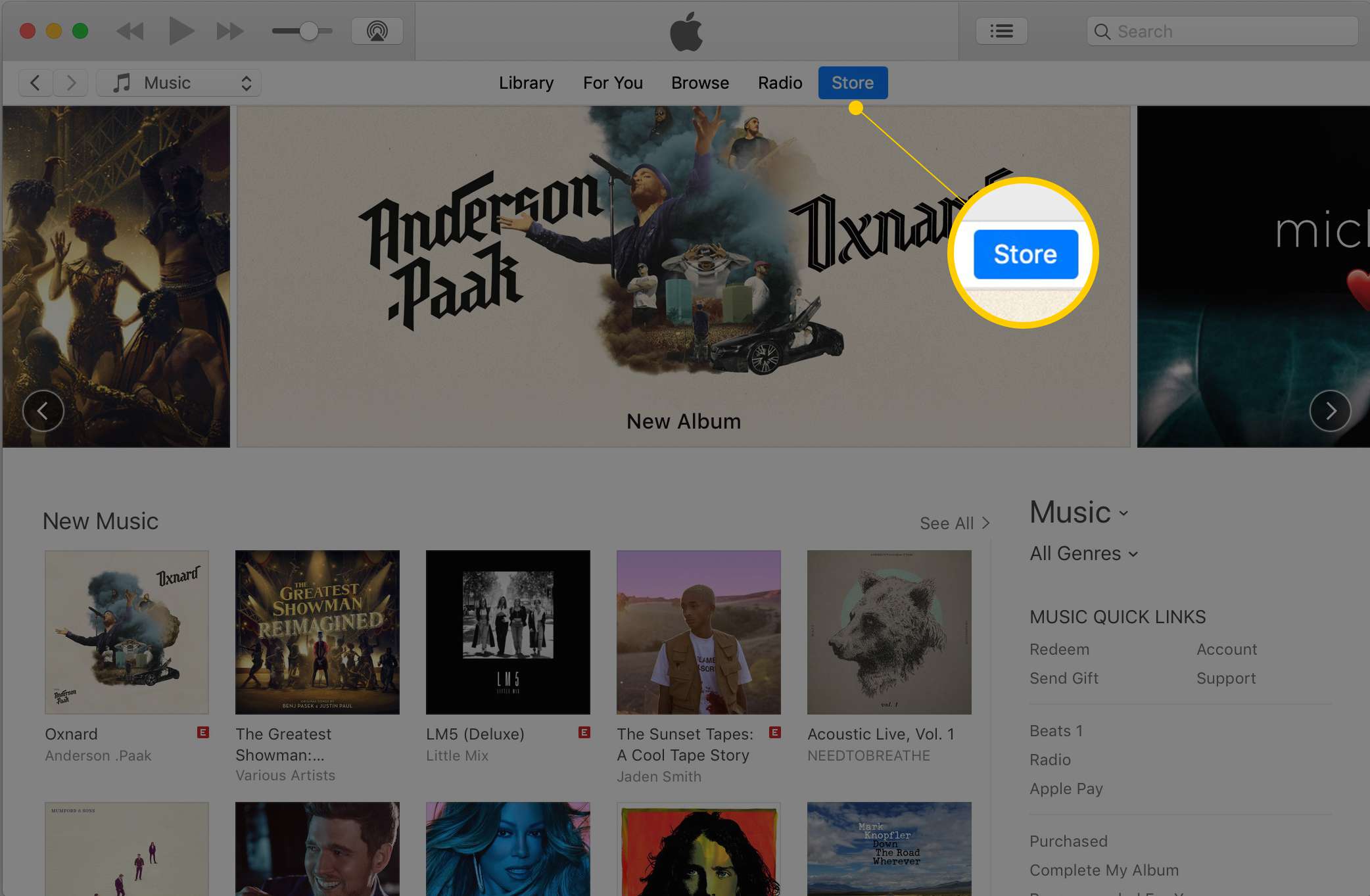 iTunes no macOS, mostrando o botão Store nas capturas de tela da barra de navegação superior