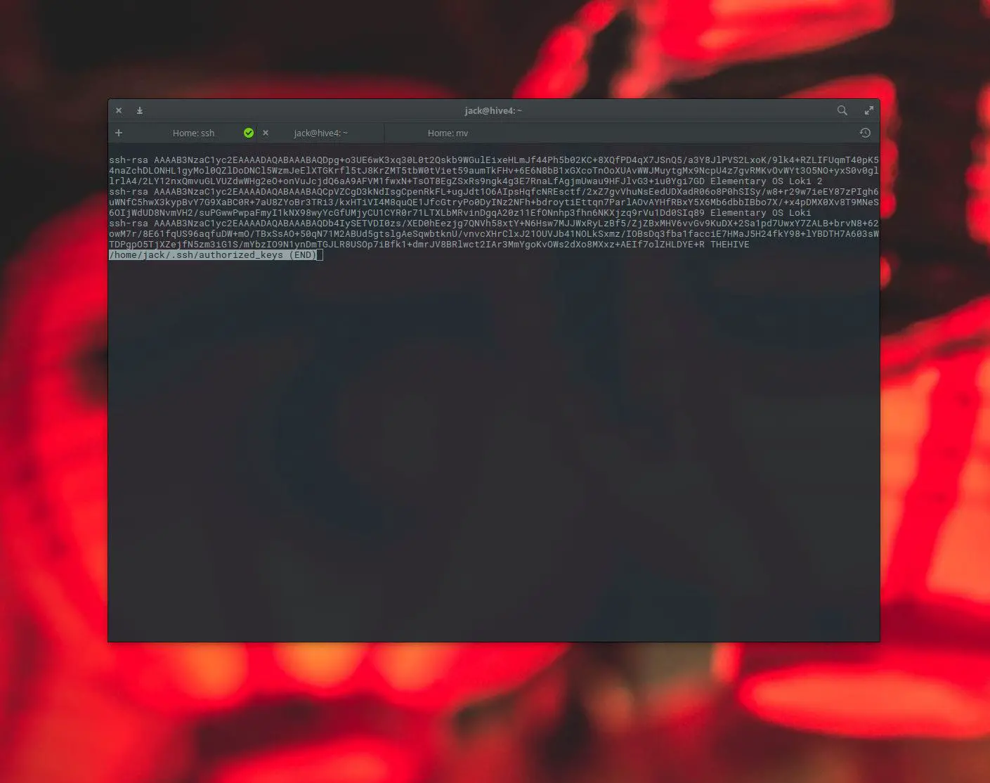 Captura de tela do arquivo authorized_keys encontrado no Linux.