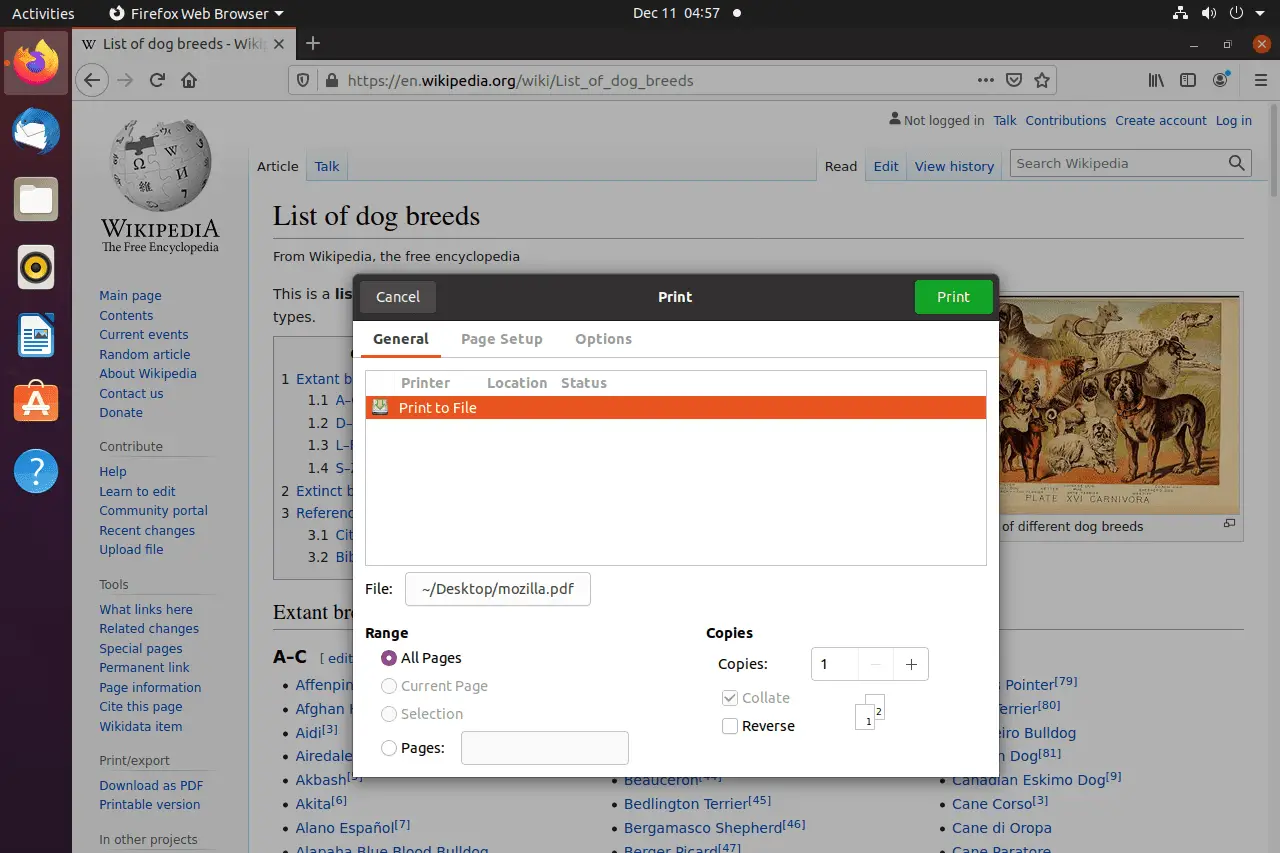 Captura de tela da opção imprimir para arquivo no Ubuntu para salvar uma página da web em PDF