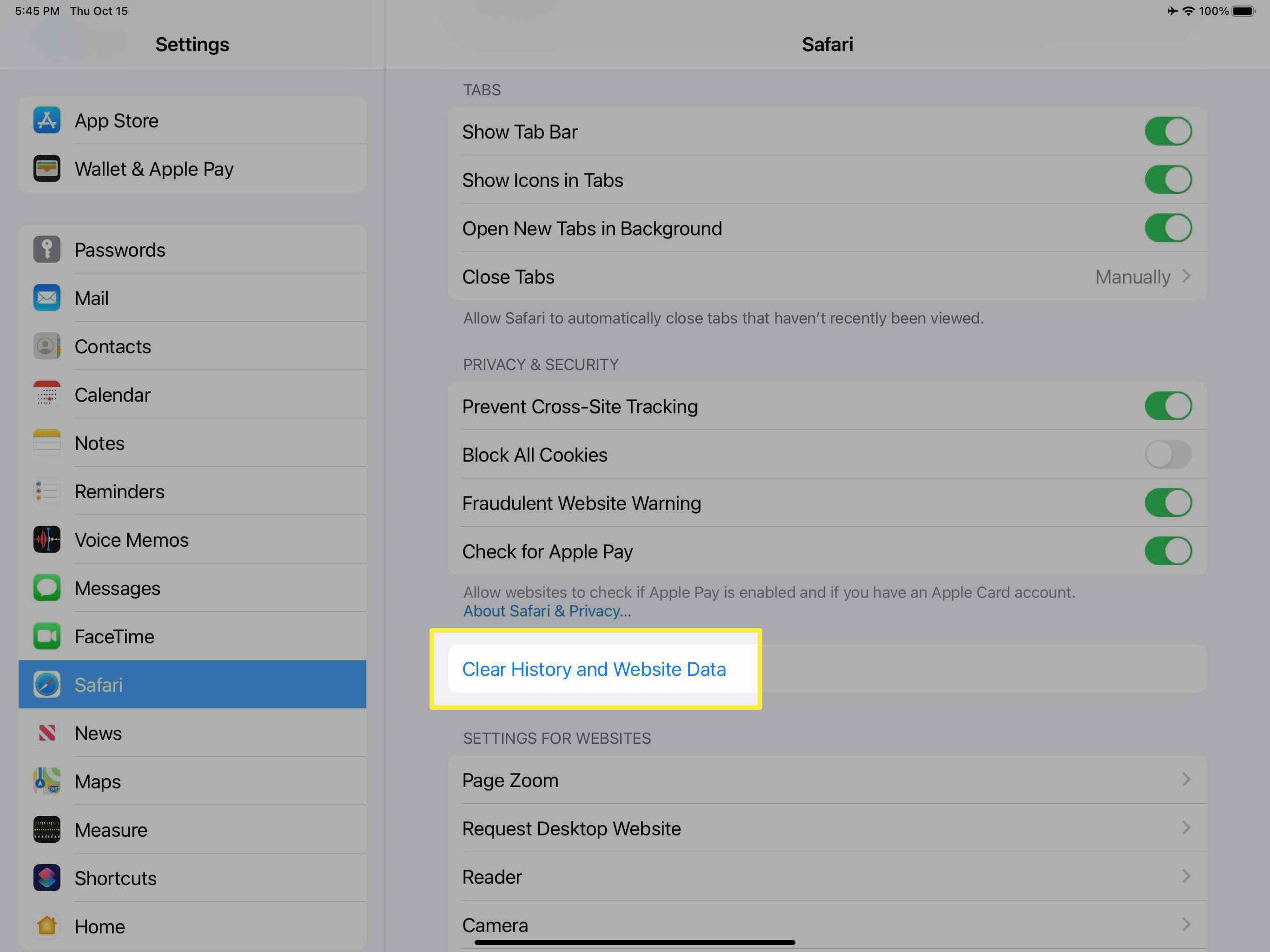 A opção Limpar histórico e dados do site para Safari no iPad.