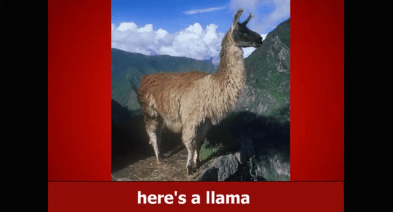 Captura de tela de Llama Song