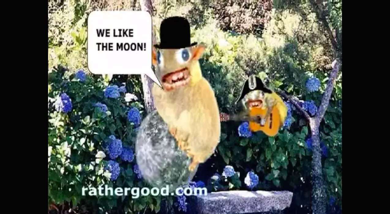 Captura de tela de We Like The Moon