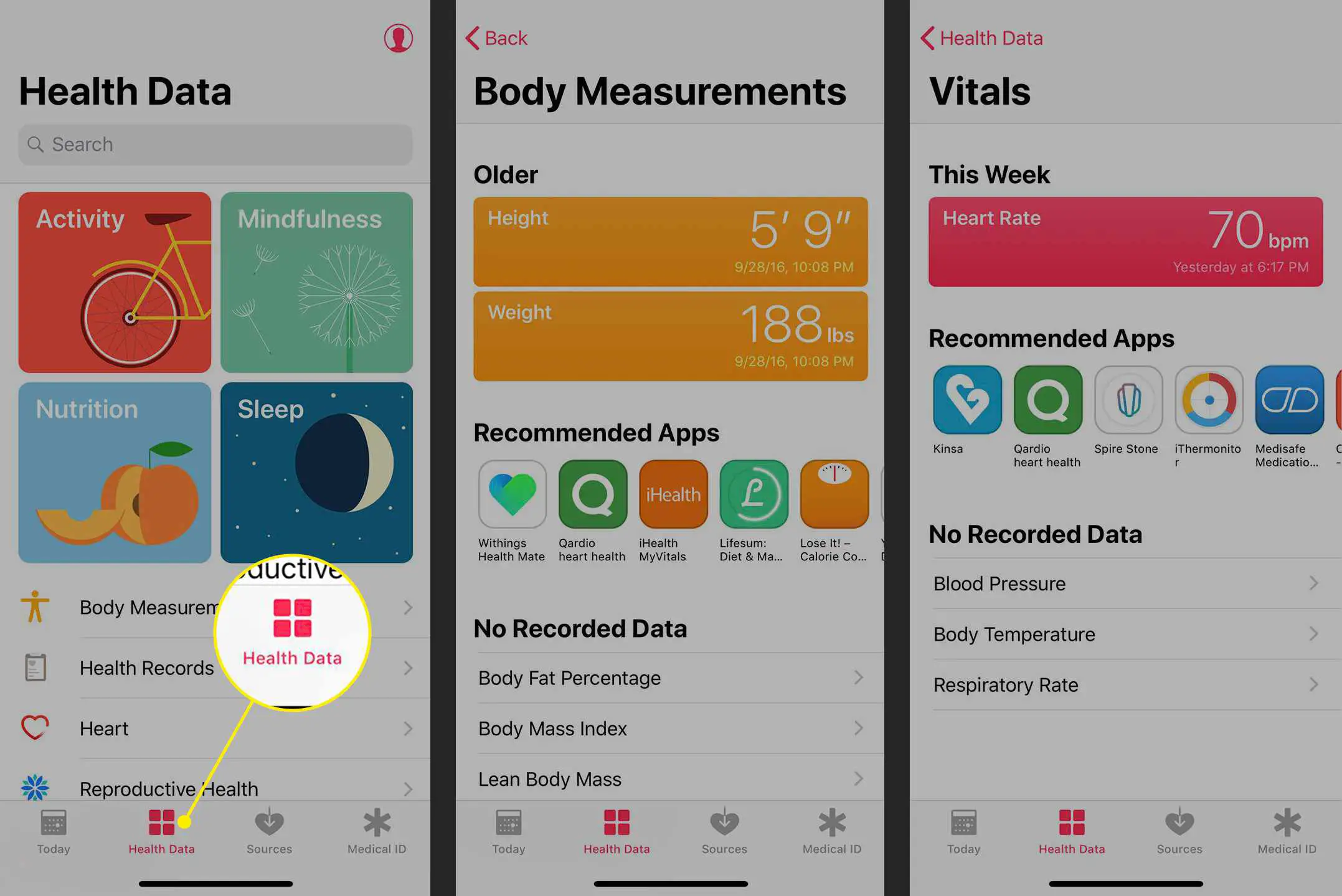 A guia Dados de saúde no aplicativo Saúde
