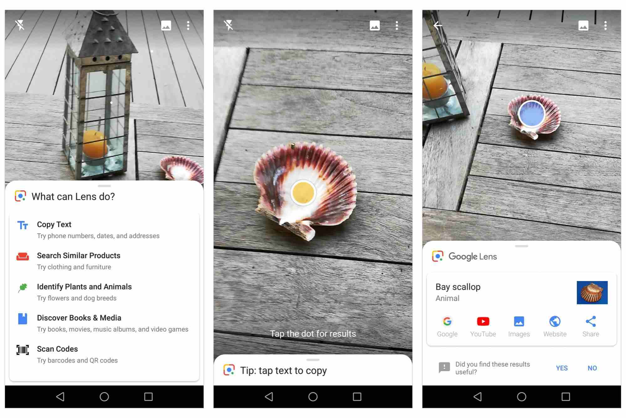 3 Capturas de tela do Google Lens, mostrando a identificação de uma vieira com a câmera