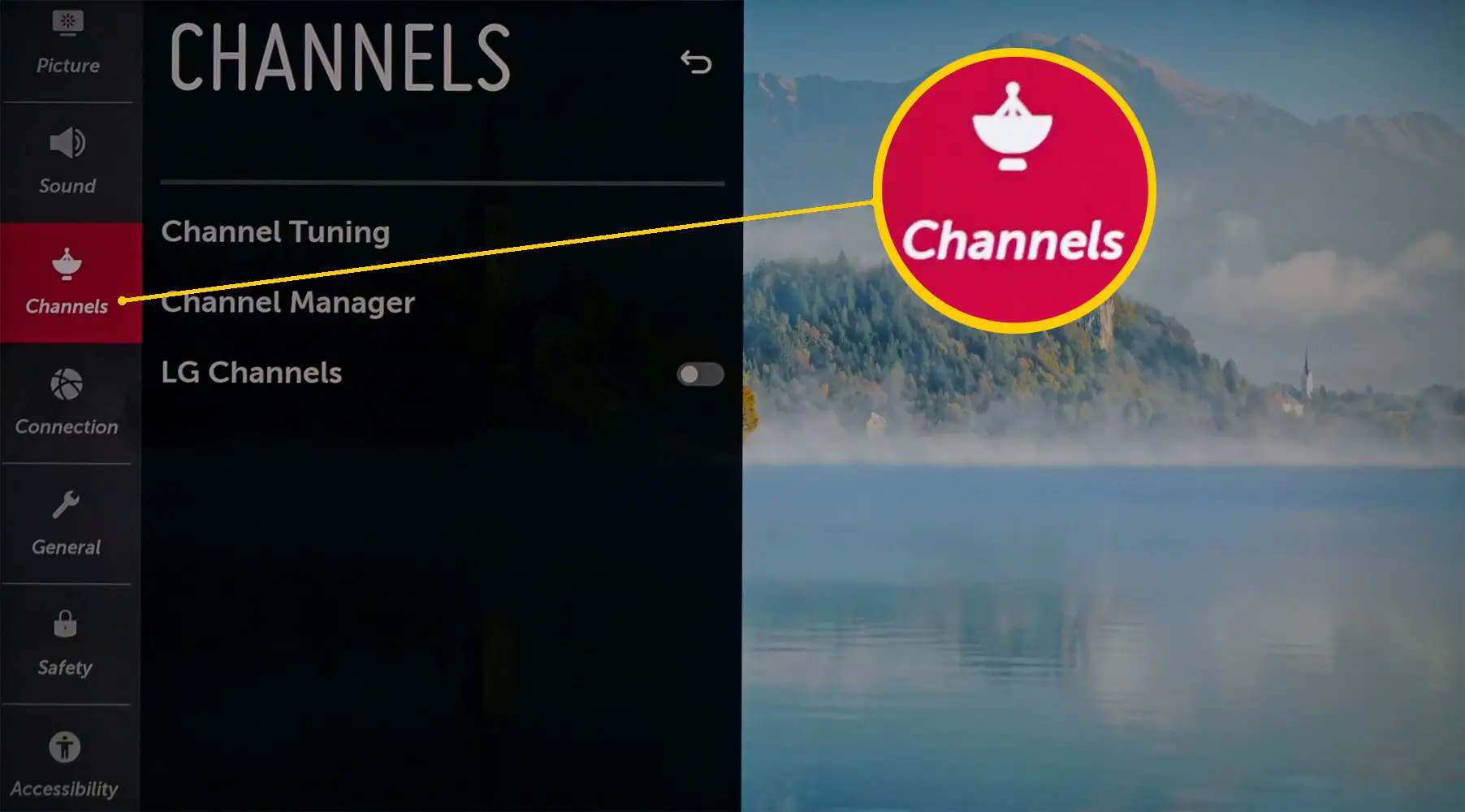 Configurações da TV LG - categoria de canal selecionada