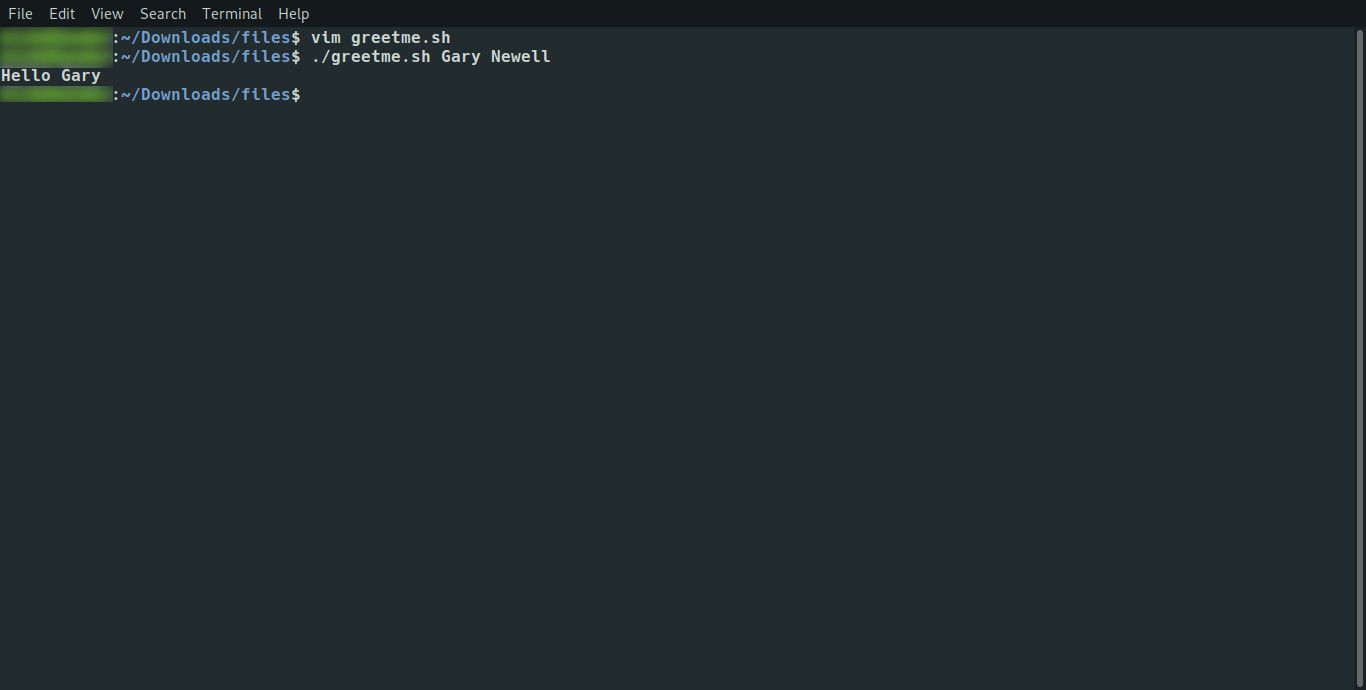 Linux executa o script Bash com um único parâmetro