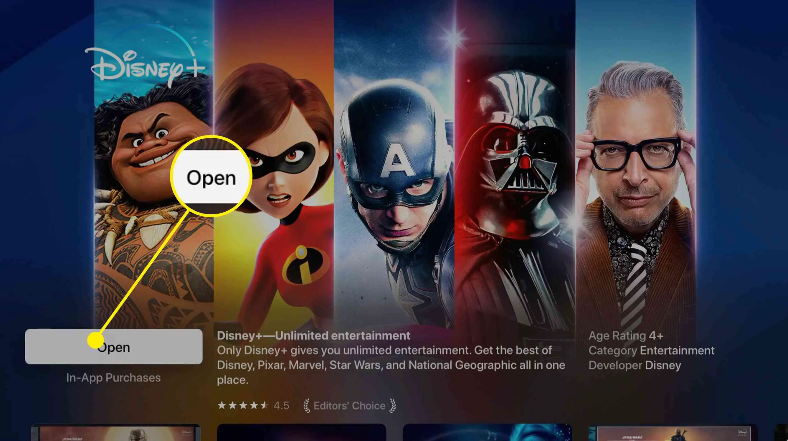 Captura de tela do Disney + na app store da Apple TV após o download