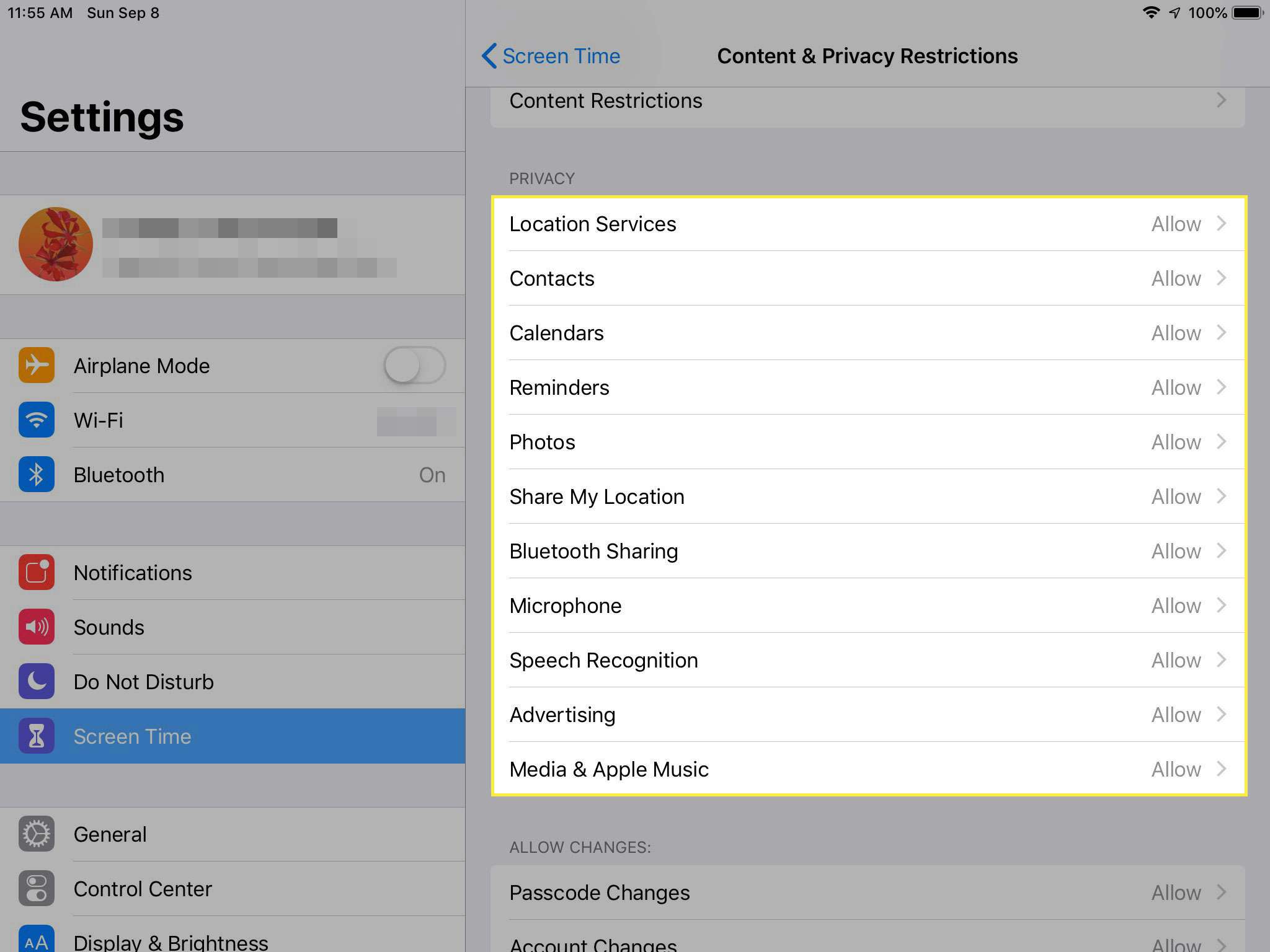 Uma captura de tela das restrições de conteúdo e privacidade em um iPad com a seção Privacidade destacada