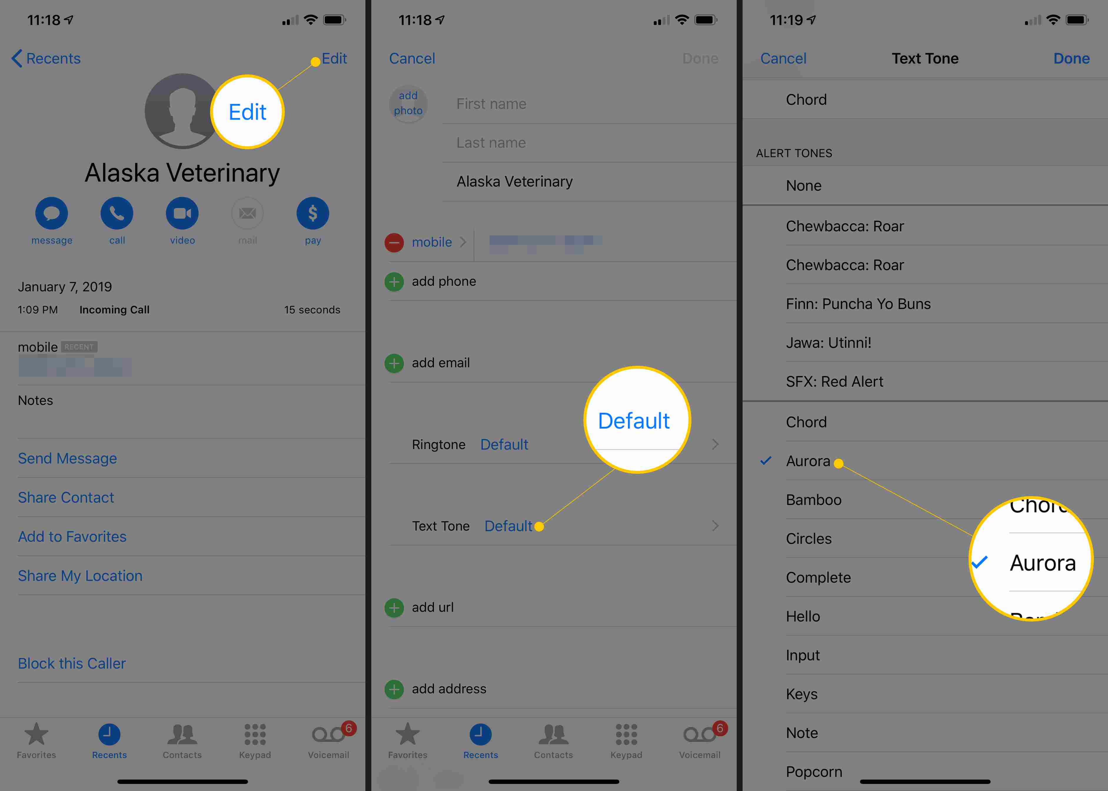 Editar, Padrão e Tom de texto escolhido (Aurora) nas configurações de contato do iOS
