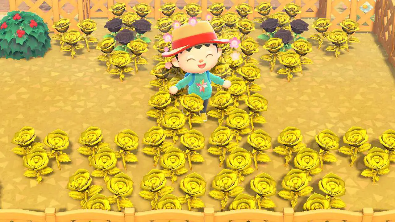 Personagem de Animal Crossing em um campo de rosas douradas