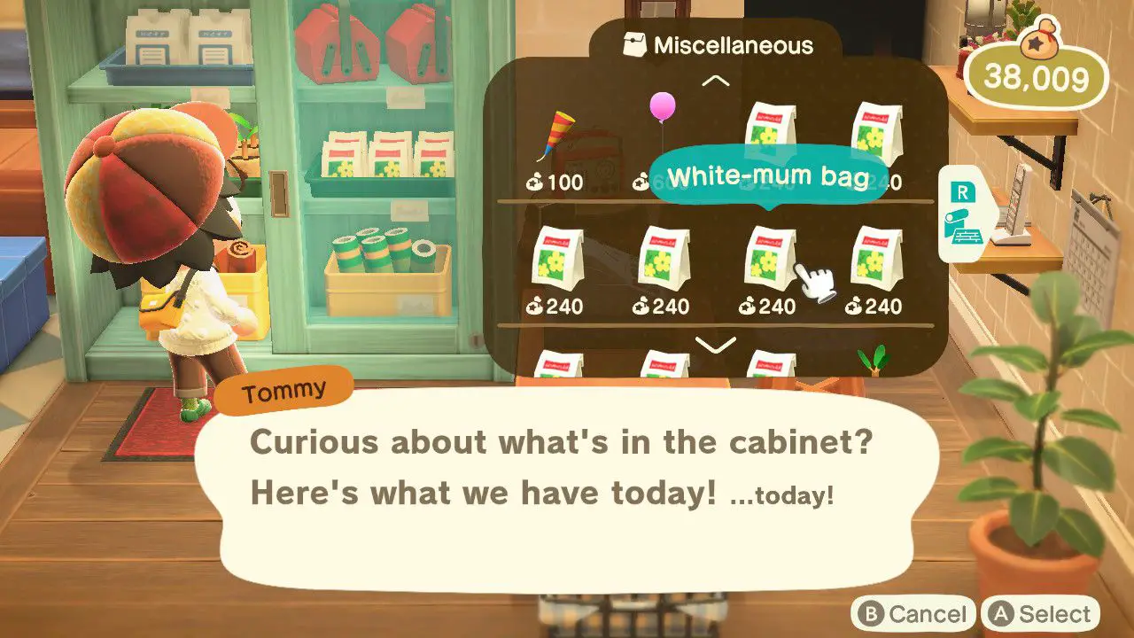 Personagem de Animal Crossing comprando sementes de Nook's Cranny