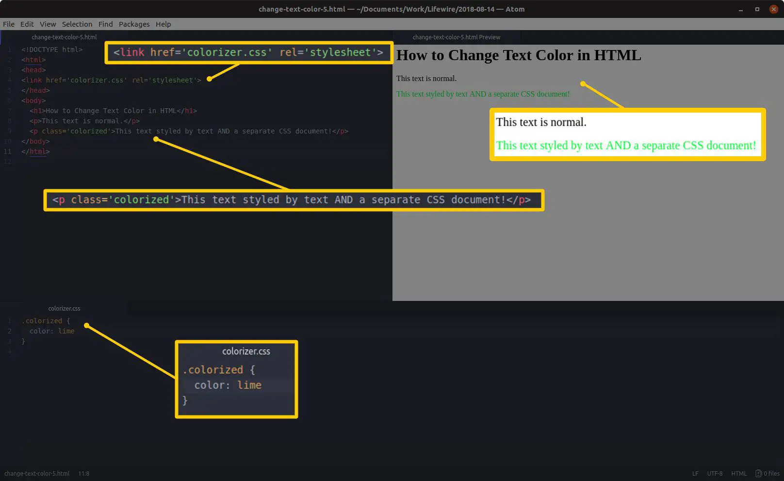 Editor de código com HTML e seções destacadas à esquerda e uma visualização de HTML e resultados destacados à direita, e um painel de edição CSS com seções destacadas na parte inferior