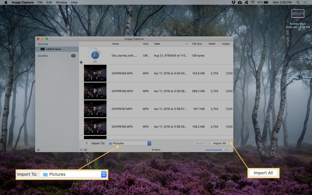 Captura de tela de importação de vídeos com Image Capture.