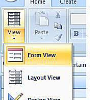 Captura de tela do Microsoft Access 2007 Form View