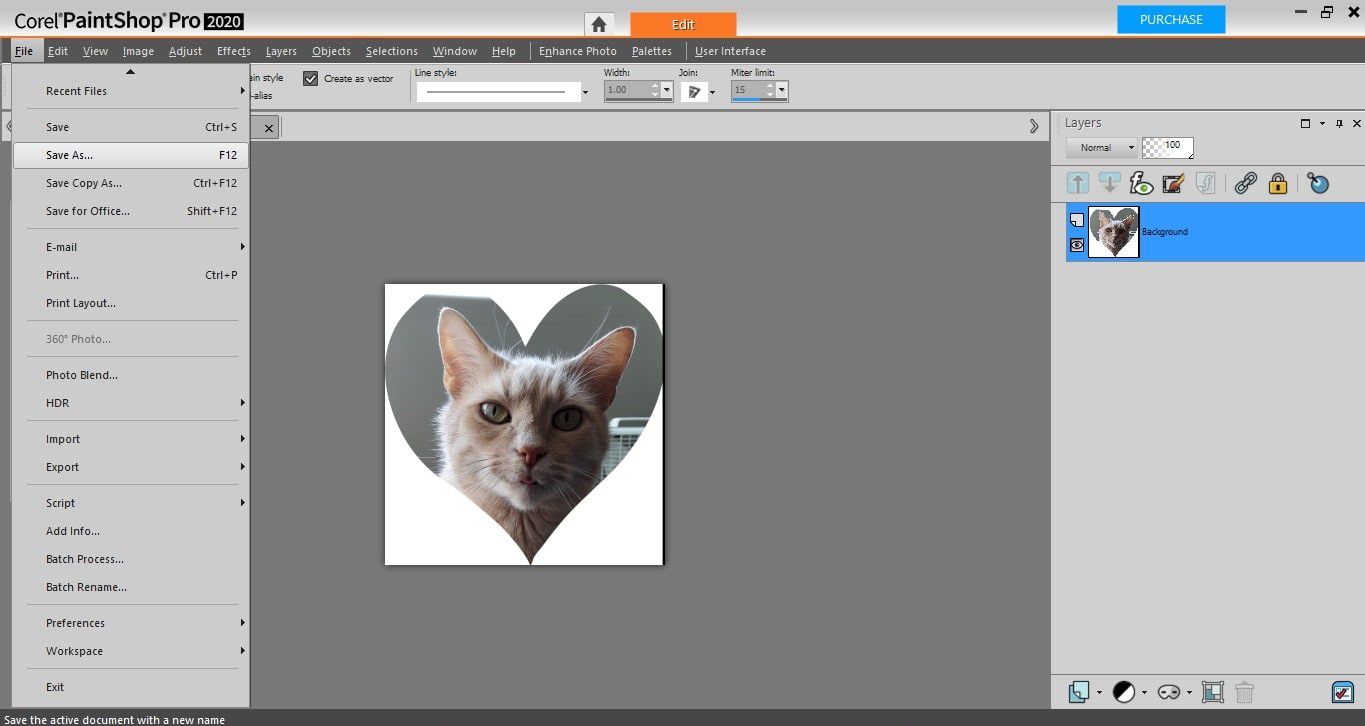 Um recorte em forma de coração de um gato no PaintShop Pro