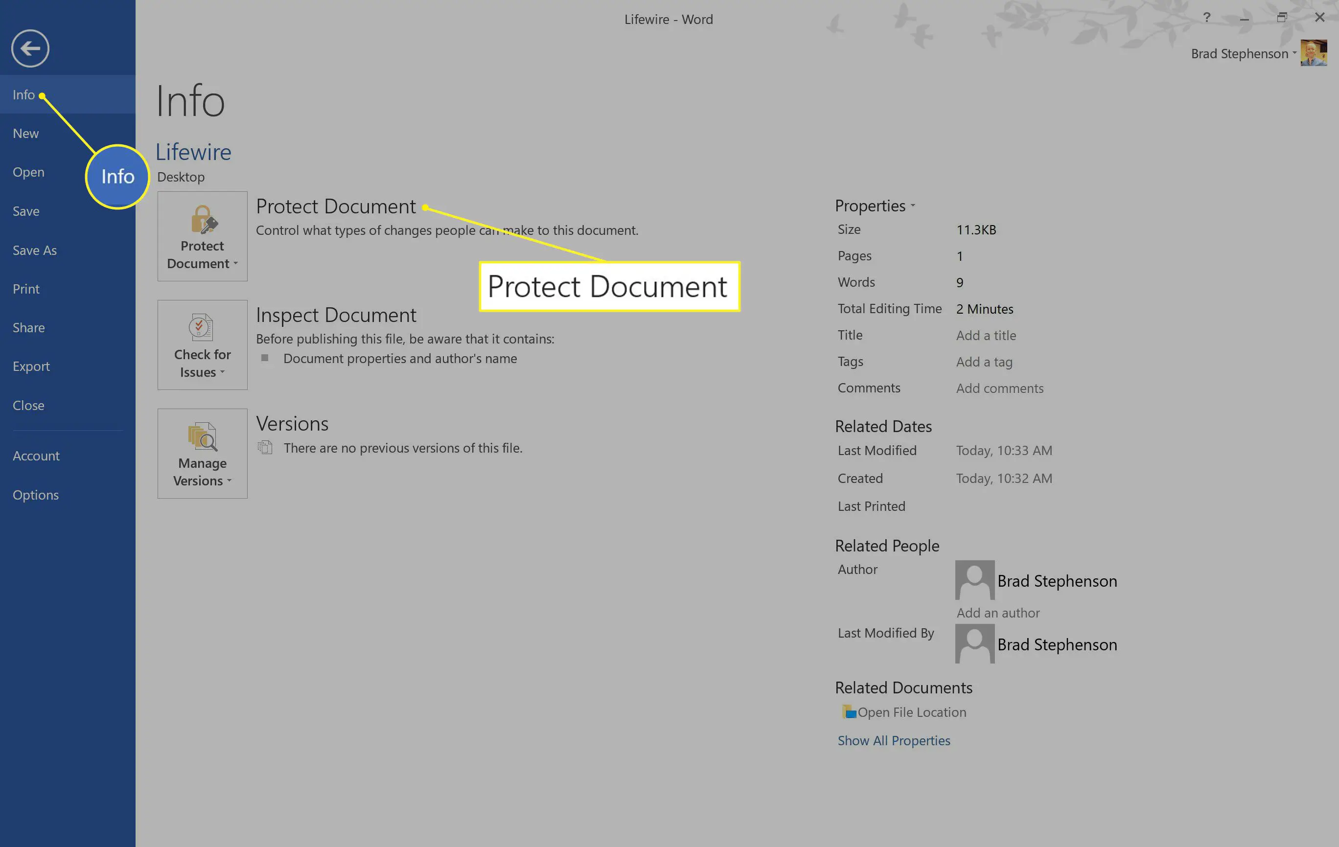 Word no Windows com Informações e Proteger Documento destacado