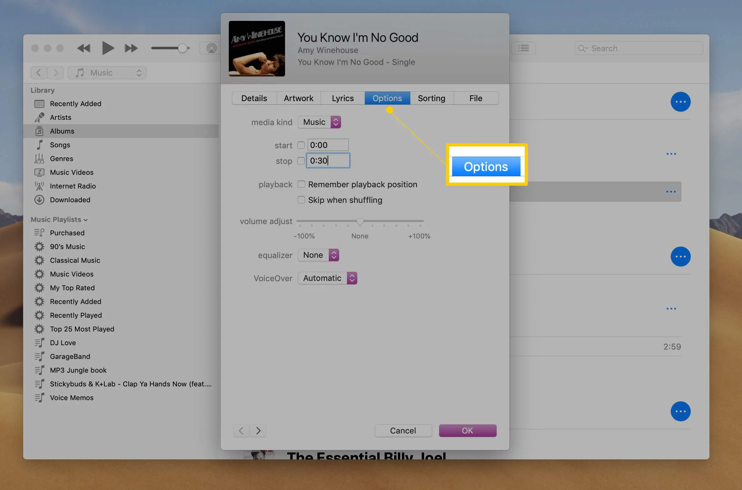 Guia Opções na janela Informações da música para iTunes