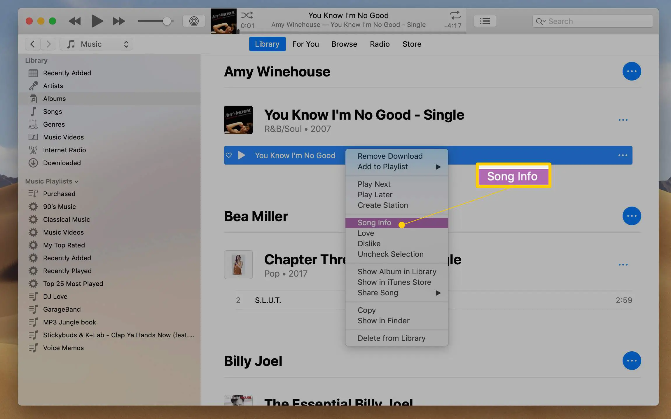 Informações sobre a música no iTunes para macOS