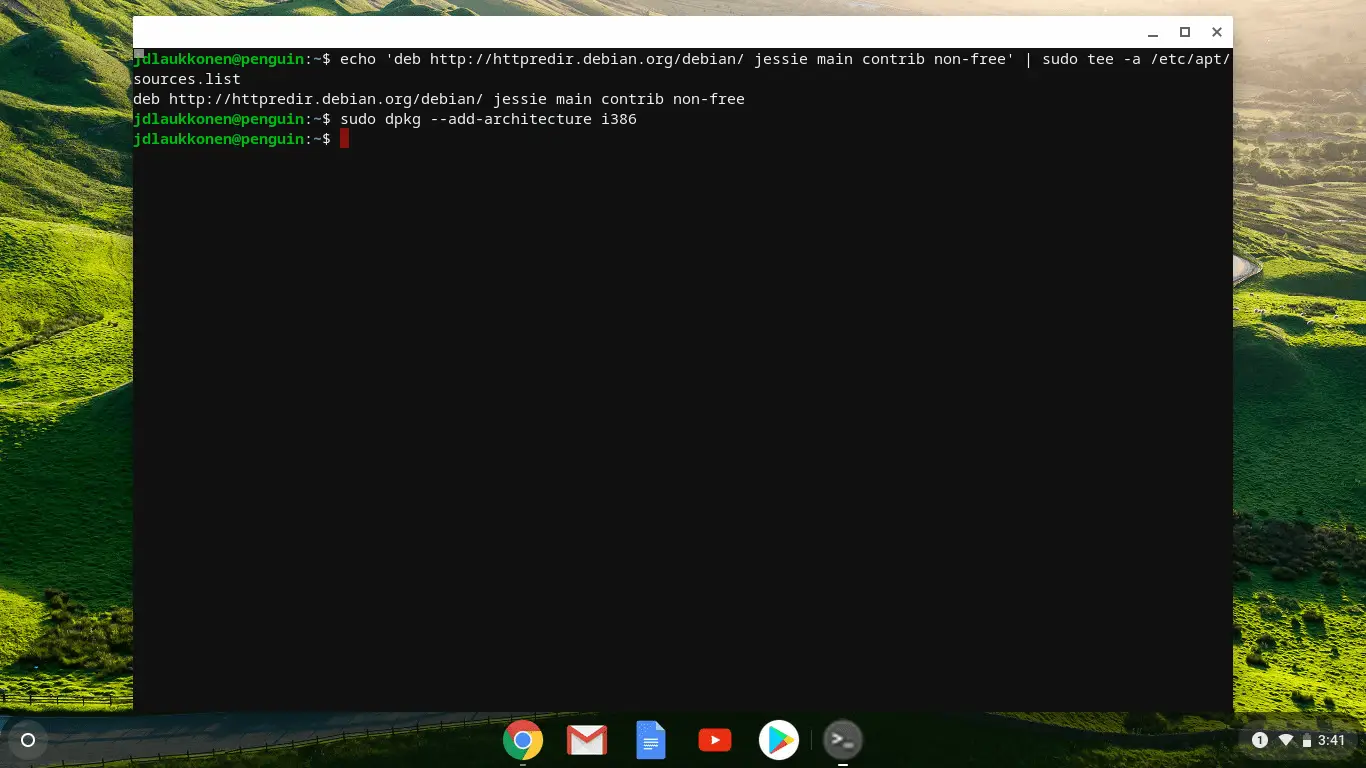 Uma captura de tela da janela do terminal Linux no Chrome OS.