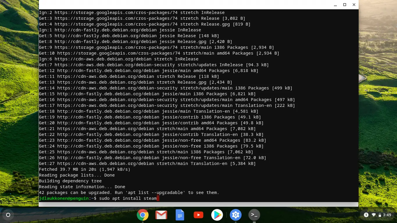 Uma captura de tela do terminal Linux no Chrome OS.