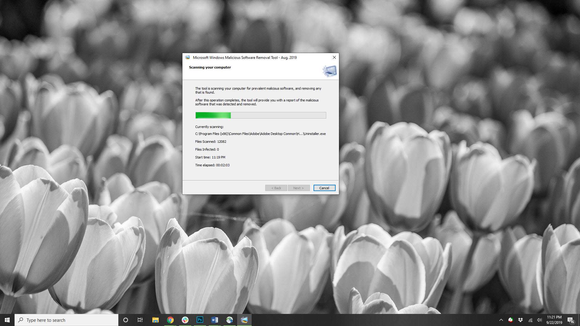 Uma captura de tela da Ferramenta de Remoção de Software Malicioso do Microsoft Windows.