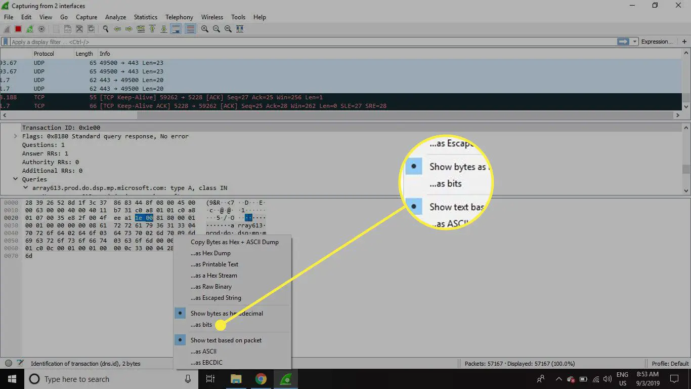 Uma captura de tela da janela Packet Bytes do Wireshark com o "Como bits" opção destacada
