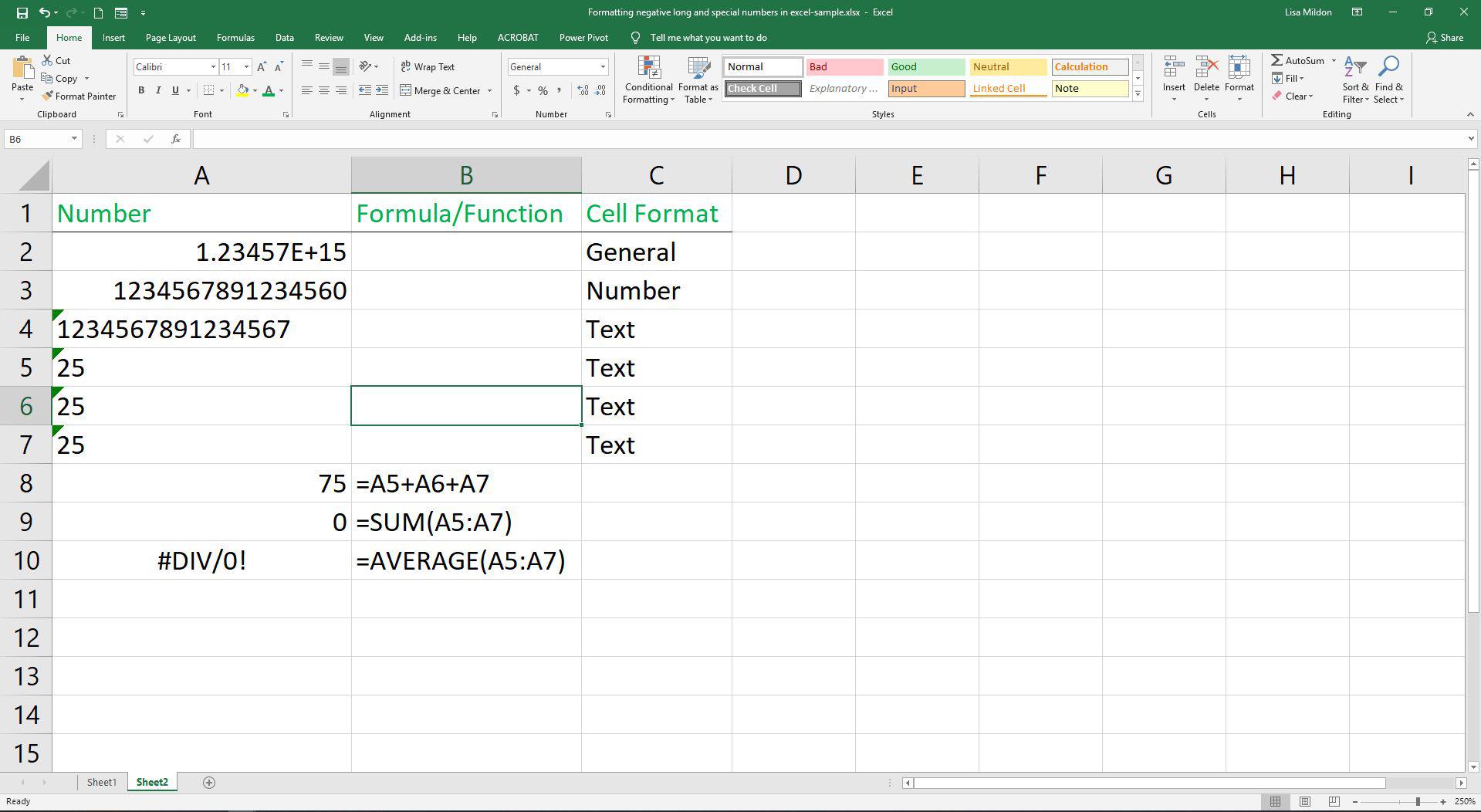 Planilha do Excel mostrando texto.