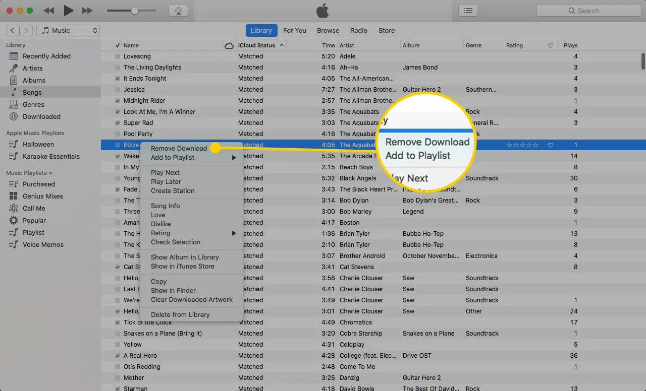Menu de músicas do iTunes com a opção Remover download destacada