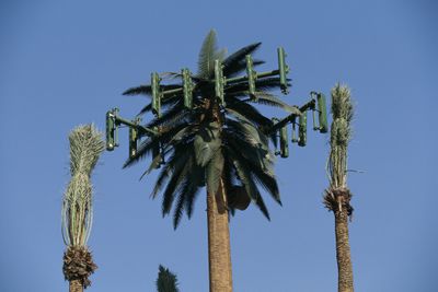 Uma antena de celular disfarçada de palmeira
