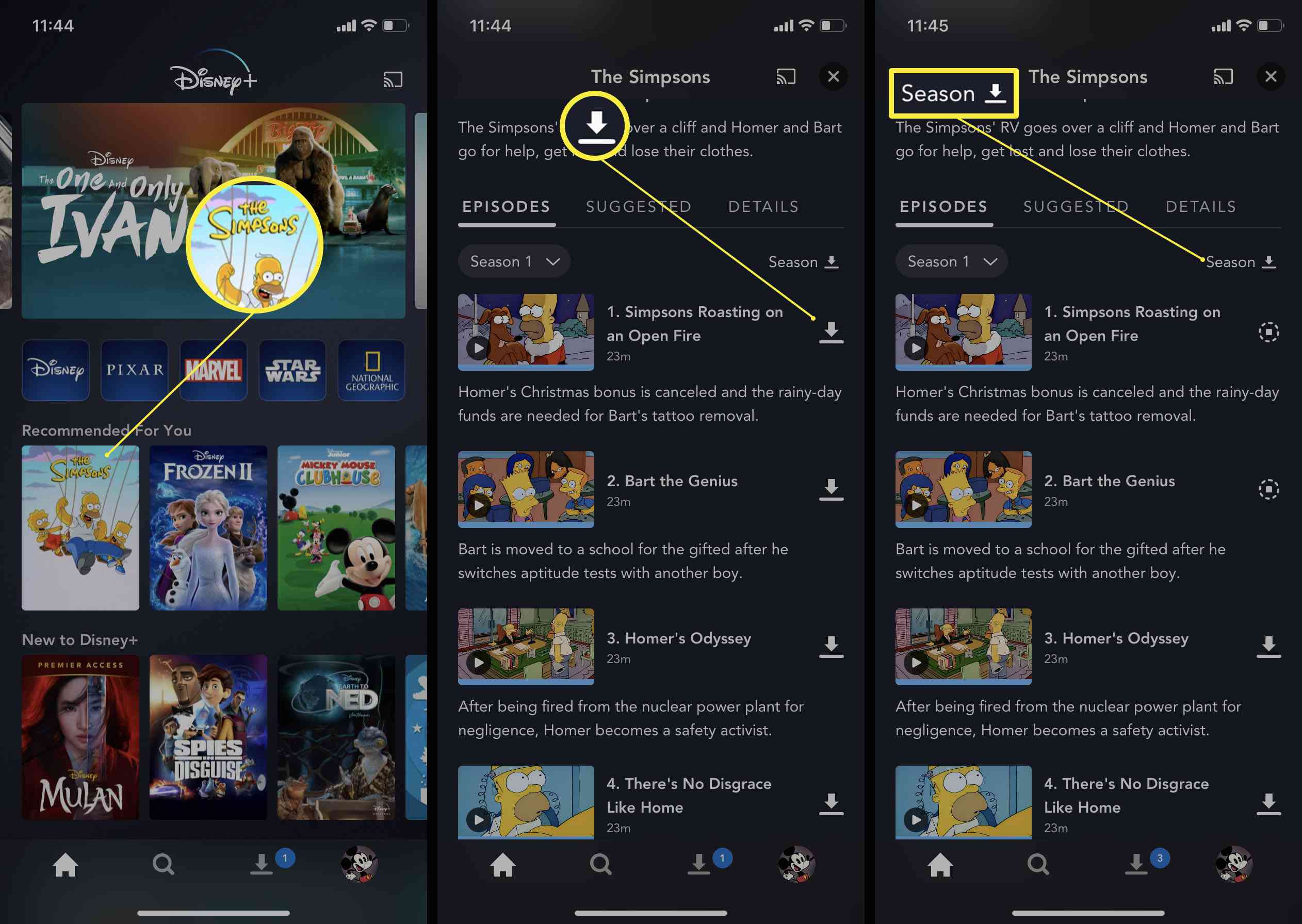 Etapas necessárias no aplicativo Disney Plus para baixar episódios ou temporadas de um programa de TV