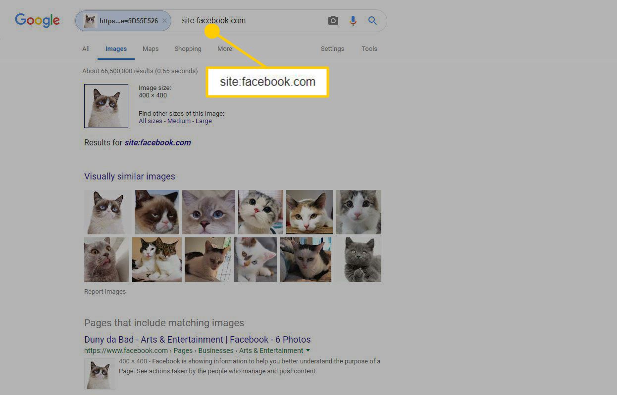 Captura de tela dos resultados da imagem reversa do Google restrita ao Facebook.