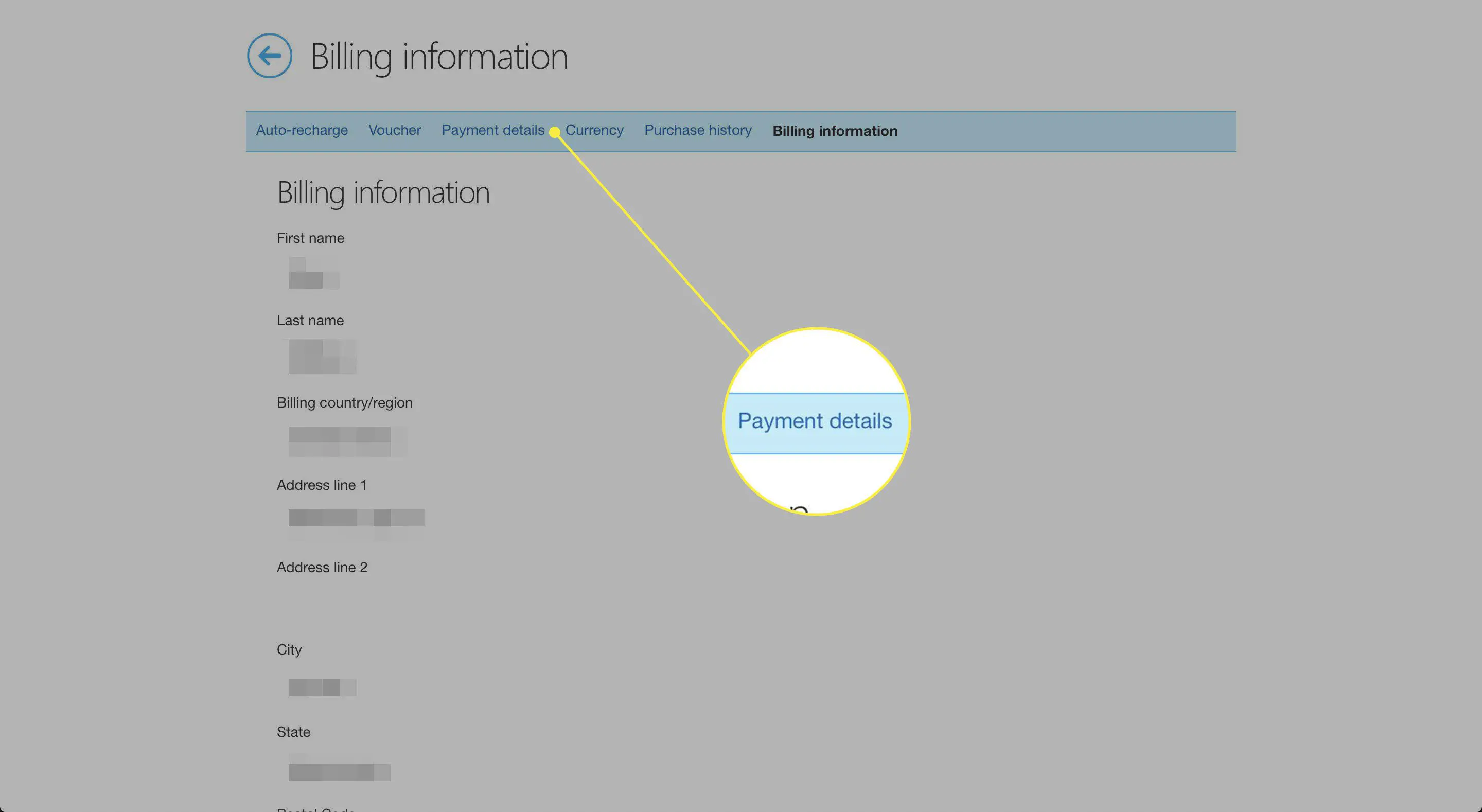 Uma captura de tela da página Informações de cobrança do Skype com o título Detalhes de pagamento destacado