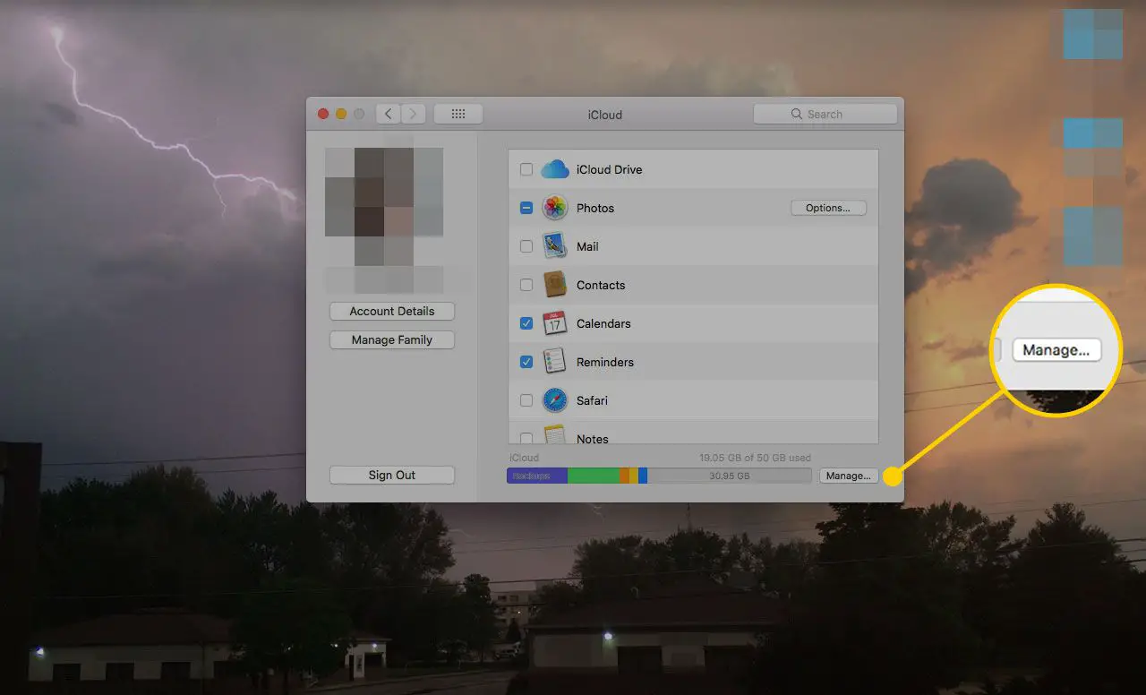 Botão Gerenciar armazenamento iCloud no Mac