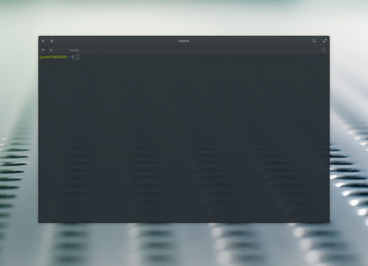Captura de tela de um emulador de terminal Linux.