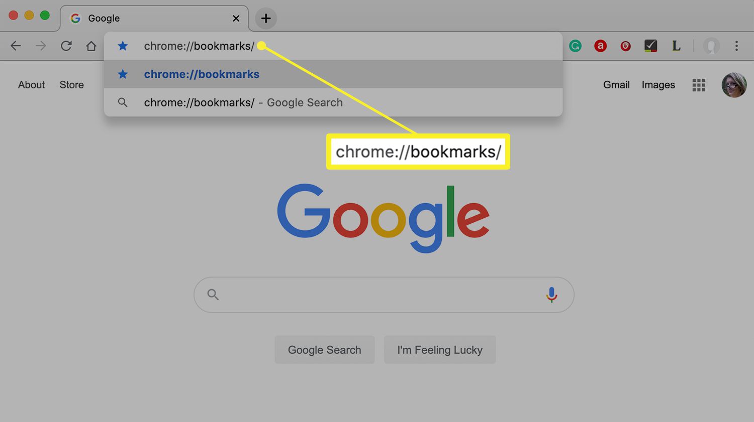 Navegador Chrome em um computador