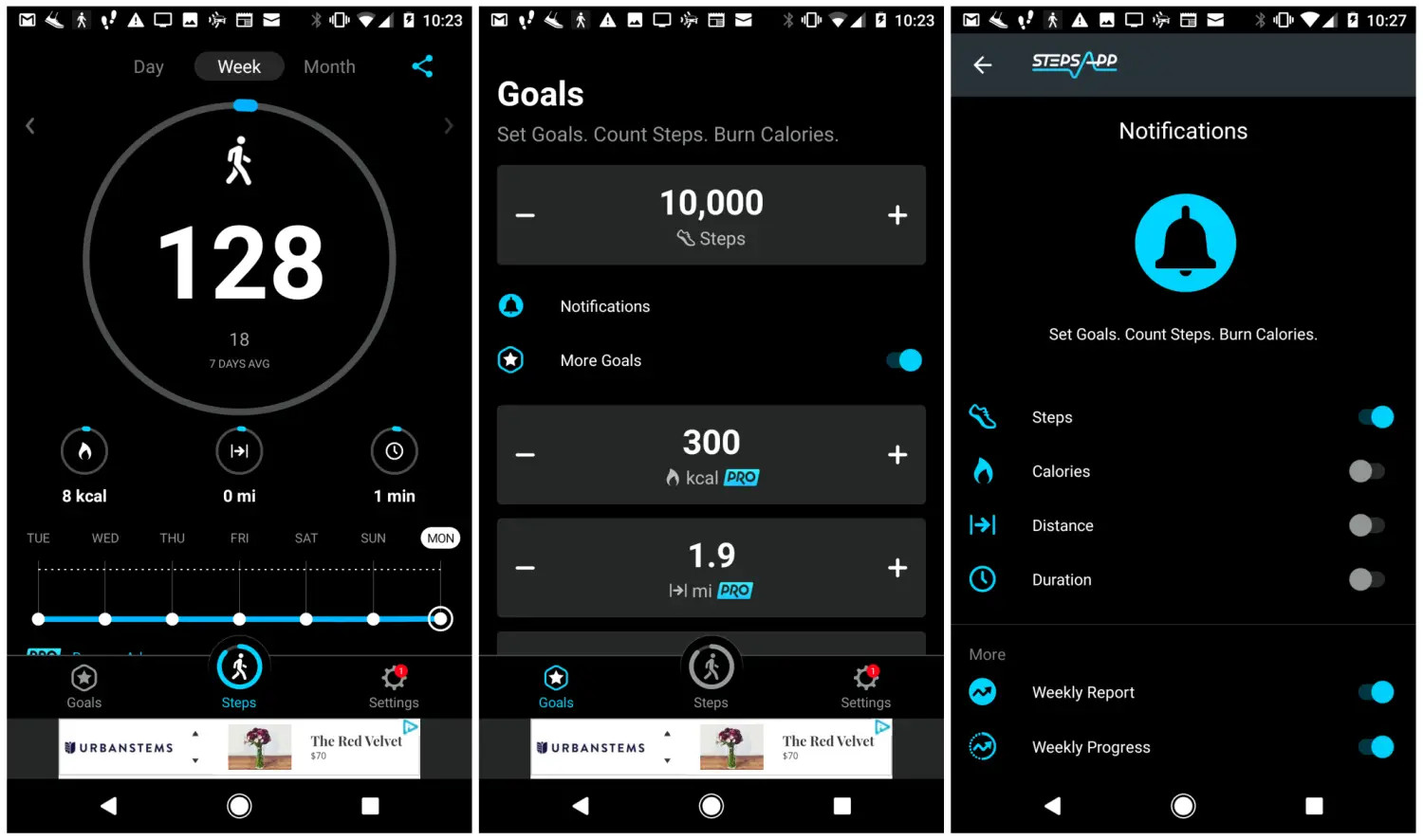 Captura de tela do aplicativo pedômetro StepsApp