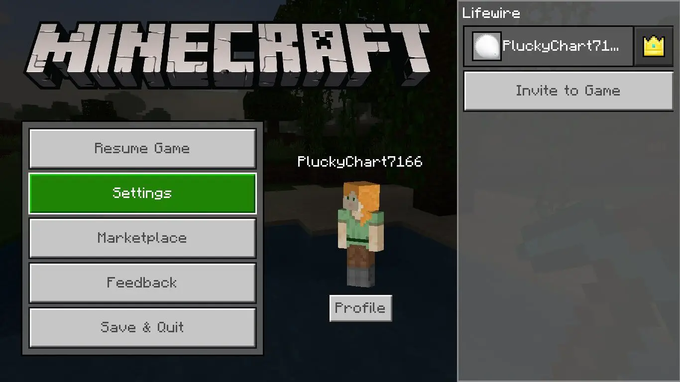 Configurações no menu do Minecraft