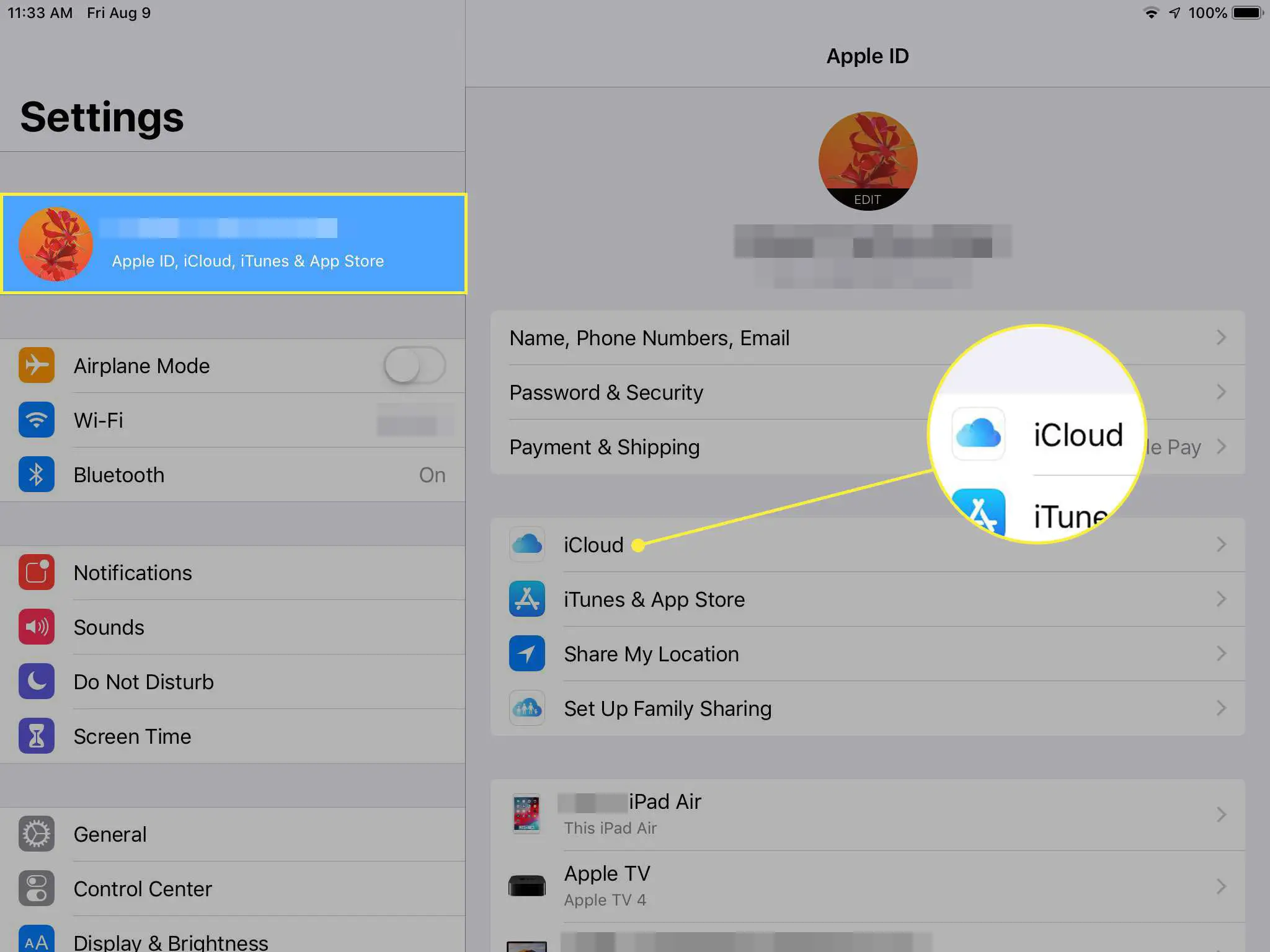 Uma captura de tela das configurações do iPad com o ID da Apple e o cabeçalho do iCloud em destaque
