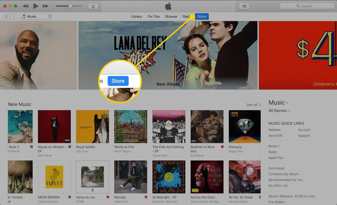iTunes em um Mac com o título Store destacado