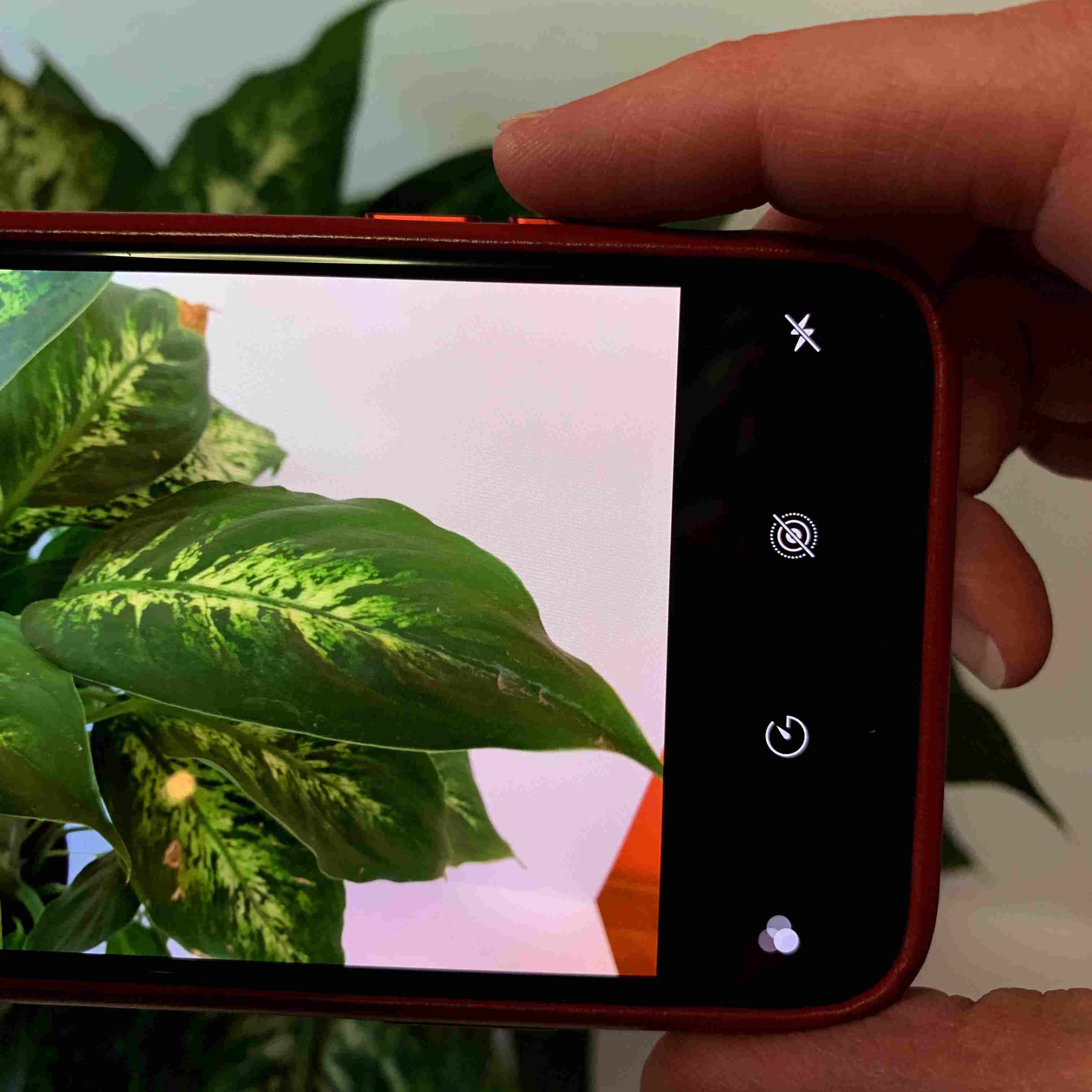 A foto mostra pressionar o botão de aumentar o volume no iPhone para tirar uma foto